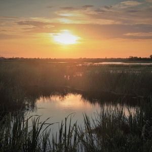 Meet your Posher, Howard